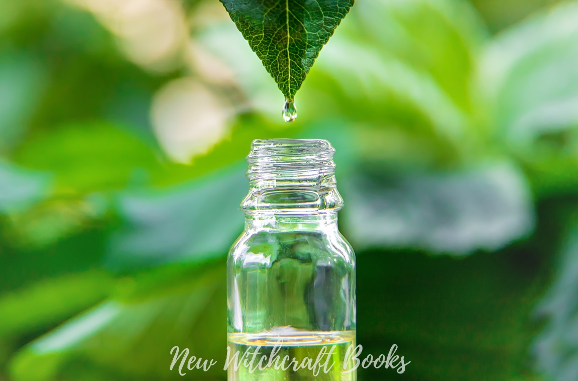 Not So Well-Known Essential Oils to Add to Your Magickal Collection