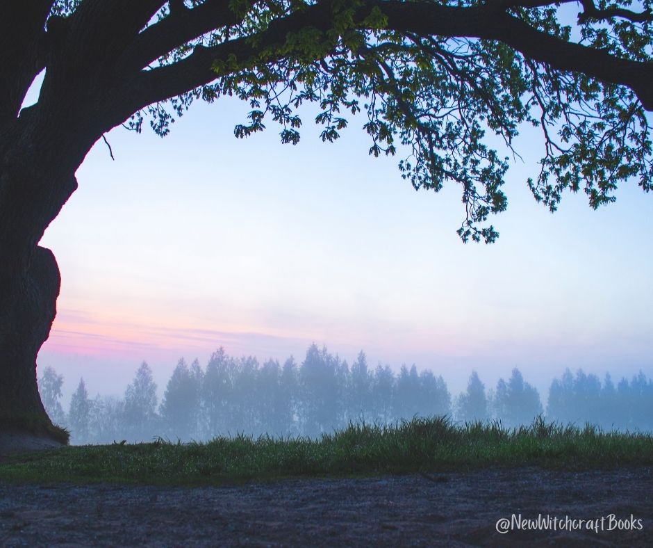 How to Create a Magical Morning Routine